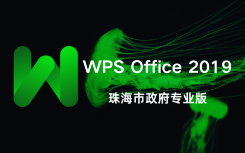 WPS Office 2019 珠海市政府专业版