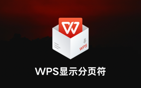 WPS分页符怎么显示出来？（WPS显示分页符设置方法）