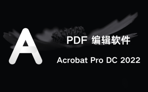 Adobe Acrobat Pro DC 2022