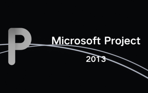 Microsoft Project 2013