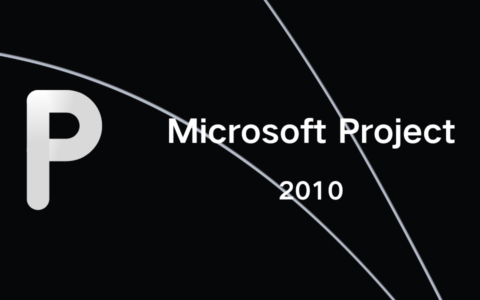 Microsoft Project 2010