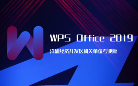 WPS Office 2019 洋浦经济开发区机关单位专业版