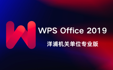 WPS Office 2019 洋浦经济开发区机关单位专业版