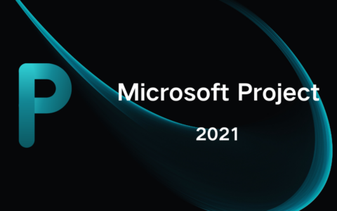 Microsoft Project 2021