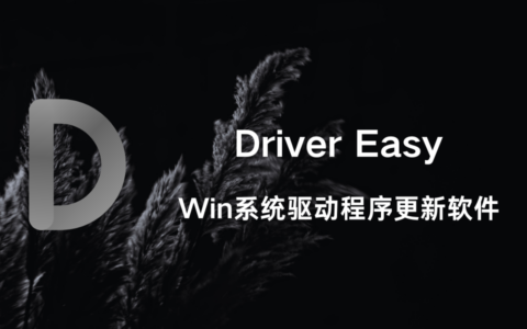 Driver Easy