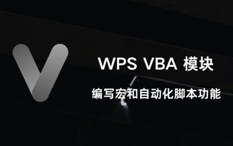 WPS VBA 模块