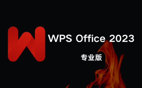 WPS Office 2023 专业版